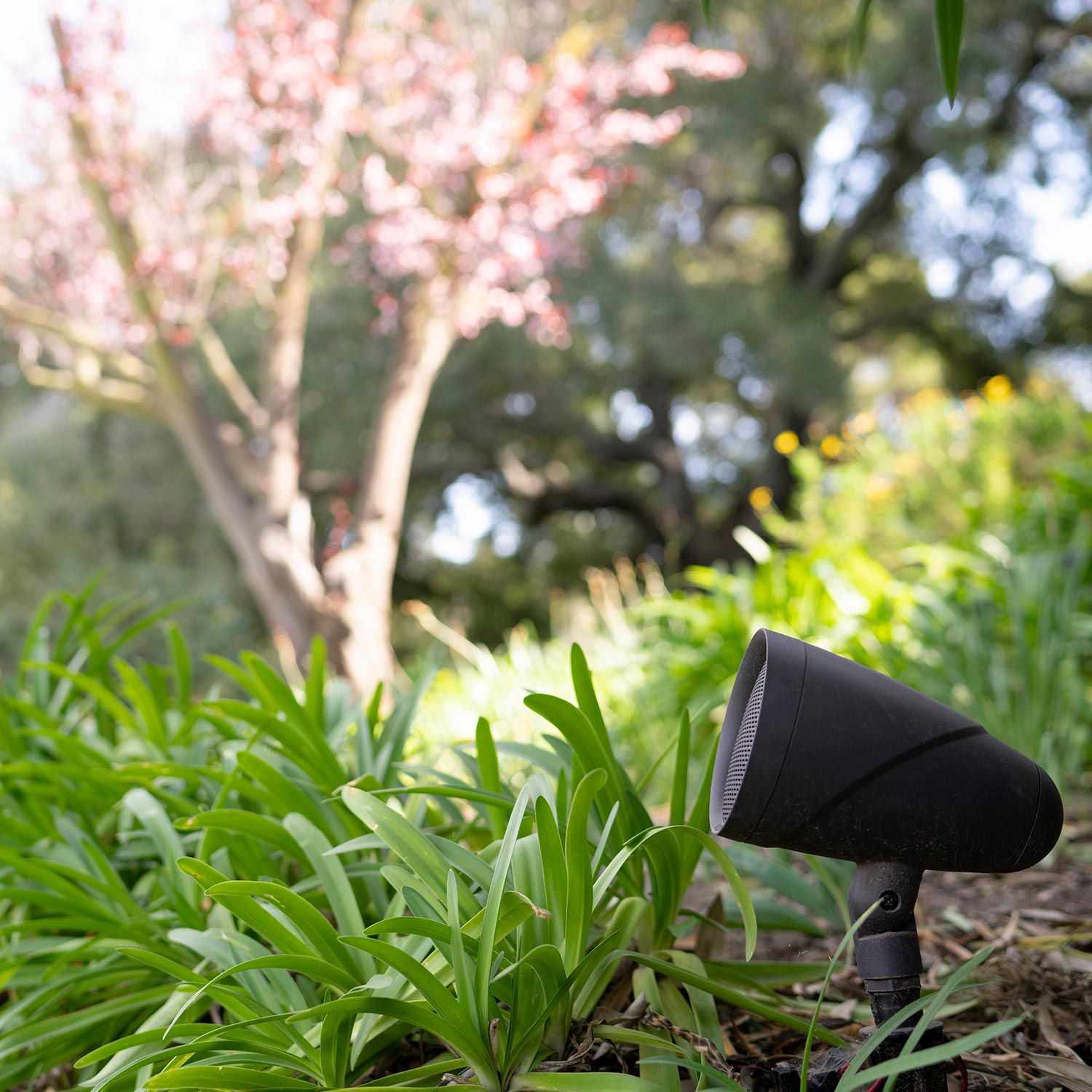A garden with a black outdoor speaker among green plants, with blooming trees in the background.