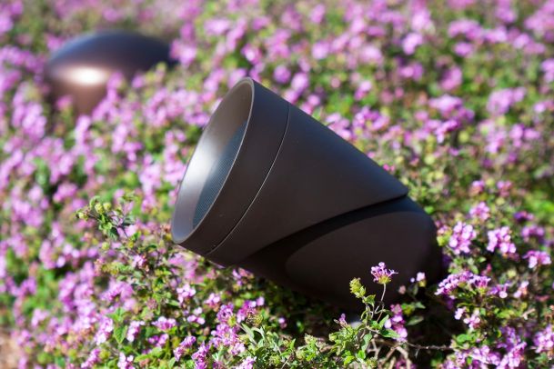 A brown outdoor speaker nestled among vibrant purple flowers in a garden setting.